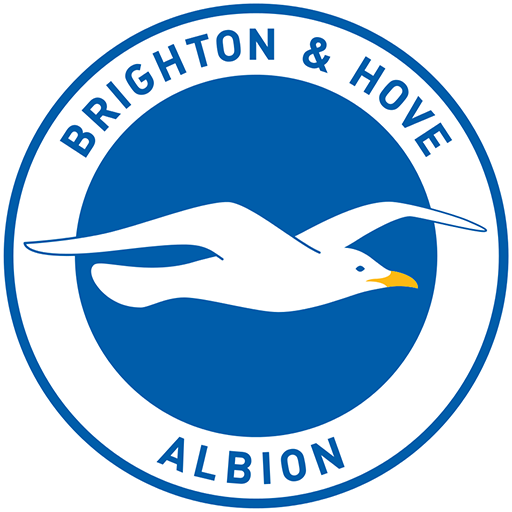 Brighton badge