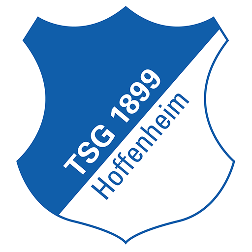 Hoffenheim badge