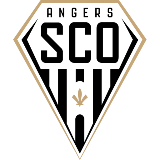 Angers badge