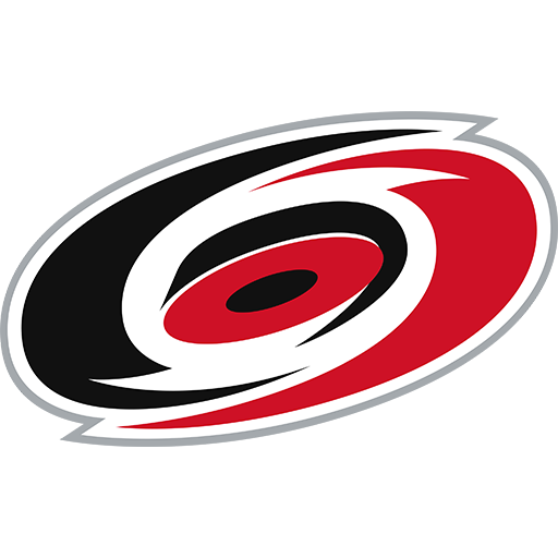 Carolina Hurricanes artwork 1