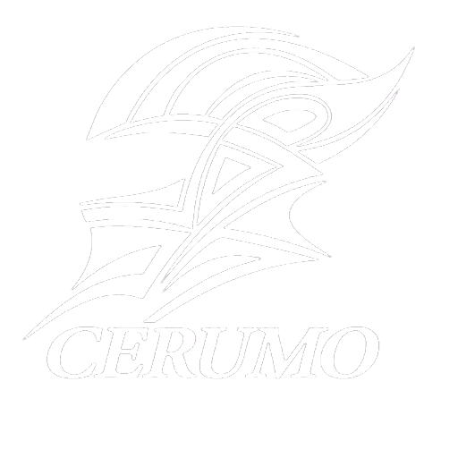 Lexus Team Zent Cerumo artwork 1