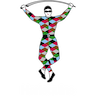 Harlequins