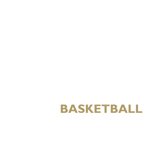 Newcastle Eagles artwork 1