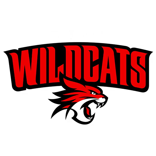 Perth Wildcats artwork 1
