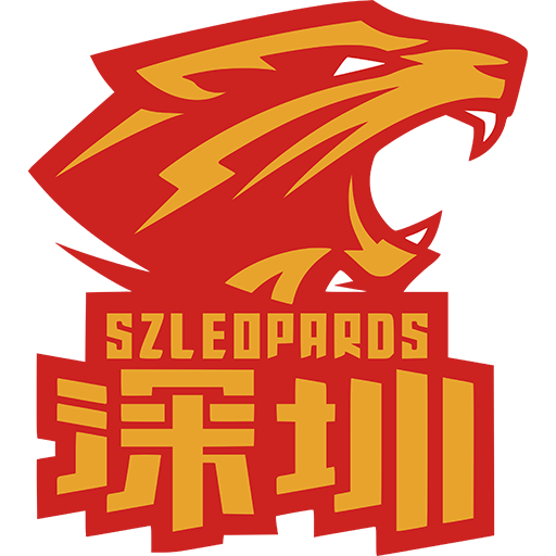 Shenzhen Leopards artwork 1