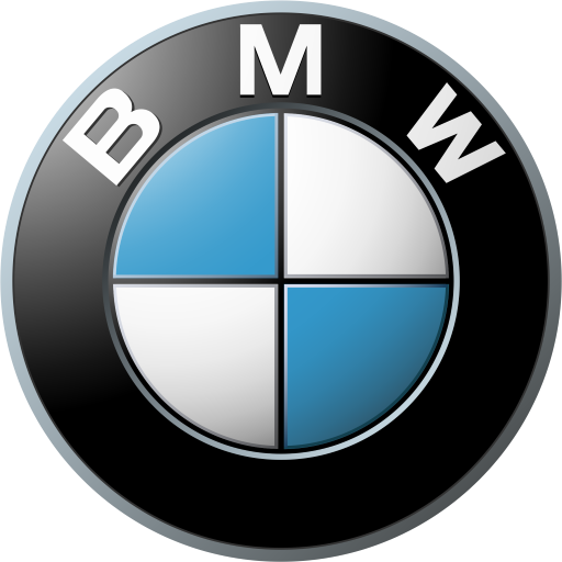 BMW Team RMG badge