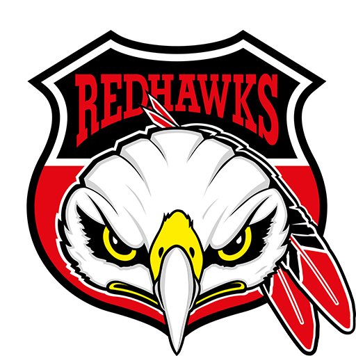 Malmö Redhawks artwork 1