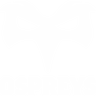 Ospreys