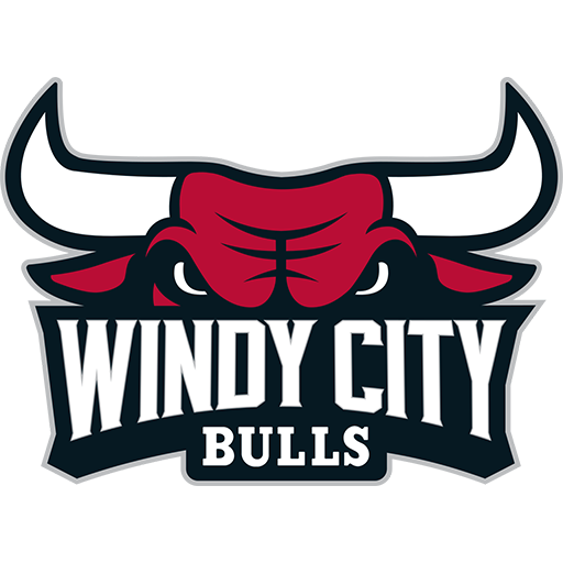 Windy City Bulls artwork 1