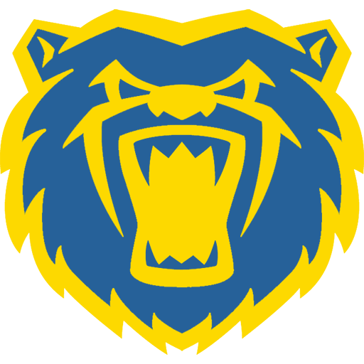 Birmingham Bears badge