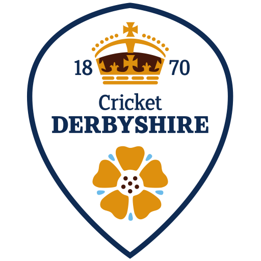Derbyshire Falcons badge
