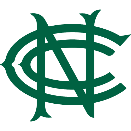 Nottinghamshire Outlaws artwork 1