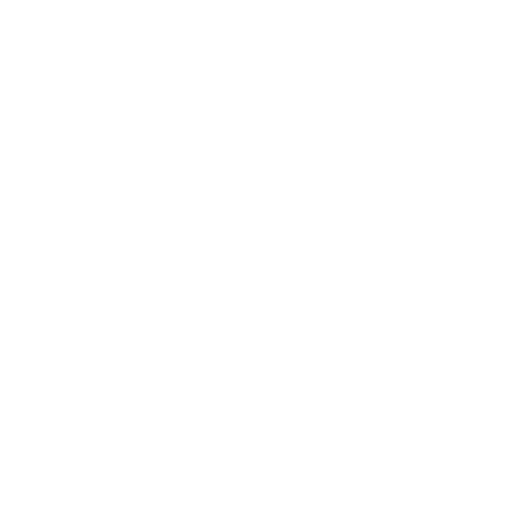 Somerset t20 artwork 1