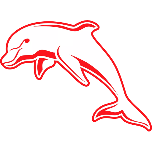 Dolphins artwork 1