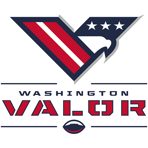 Washington Valor artwork 1
