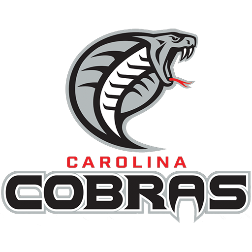 Carolina Cobras artwork 1