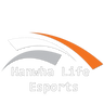 Hanwha Life Esports