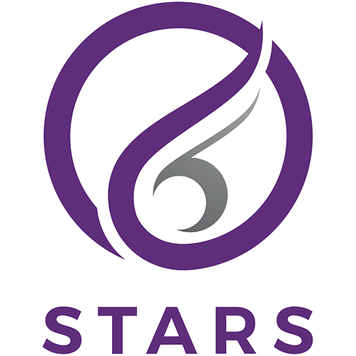 Northern Stars badge