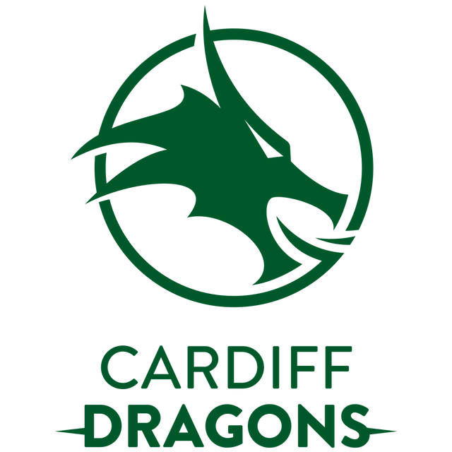 Celtic Dragons artwork 1