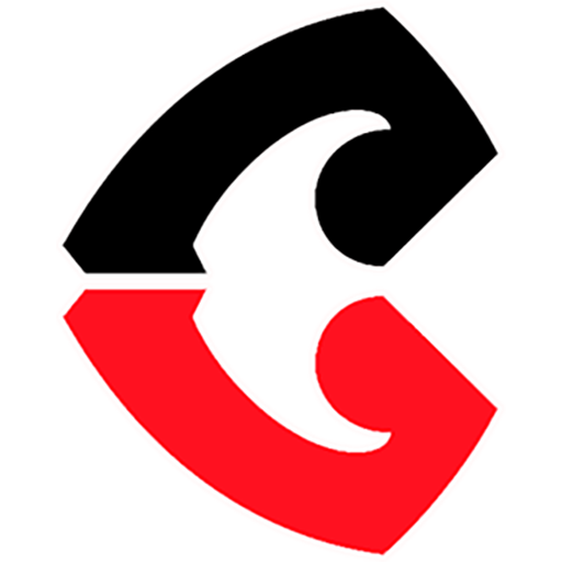 Crusaders Super Rugby artwork 1