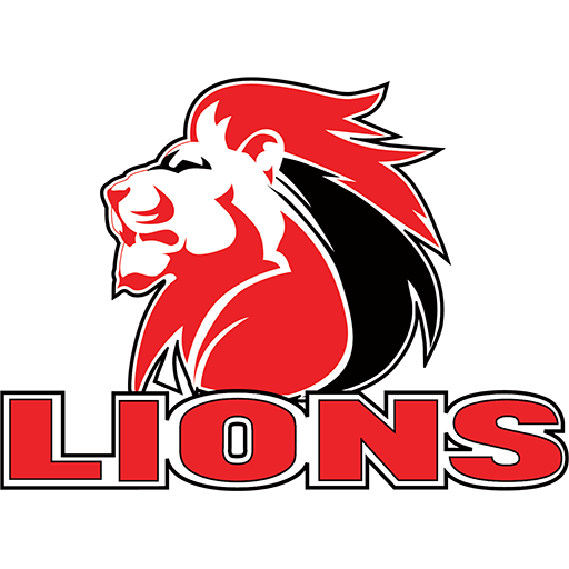 Lions Super Rugby artwork 1