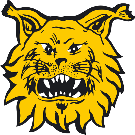 Ilves badge