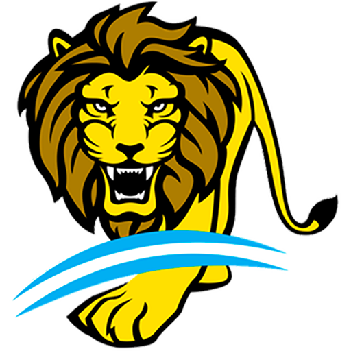 Argentina Hockey badge