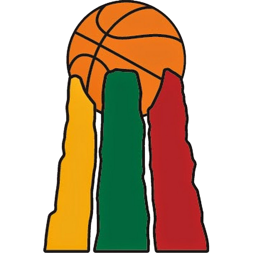 Lithuania Basketball artwork 1