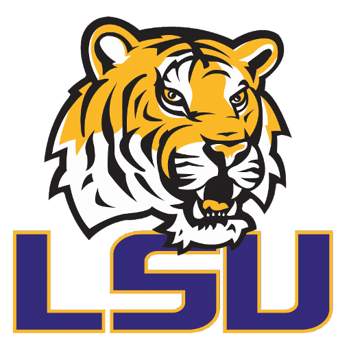 LSU artwork 1