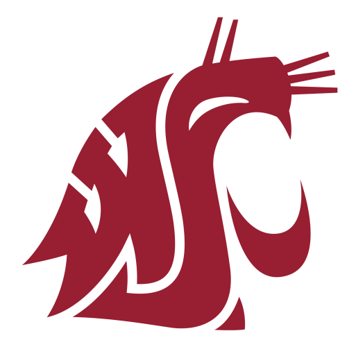 Washington State badge