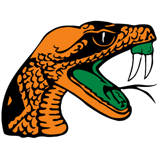 Florida A and M artwork 1