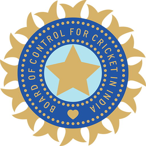 India Cricket artwork 1