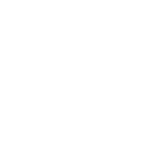 New Zealand Cricket badge