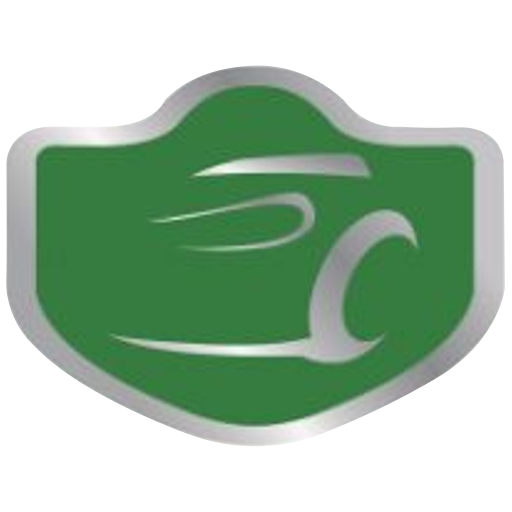 Team Mulsanne artwork 1