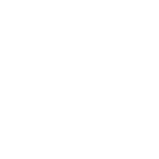 SU Agen Lot-et-Garonne artwork 1