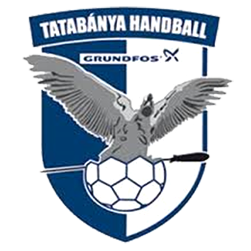 Tatabánya KC artwork 1