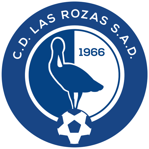 Las Rozas CF artwork 1