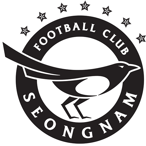 Seongnam FC artwork 1