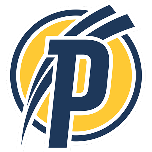 Puskás Akadémia FC artwork 1