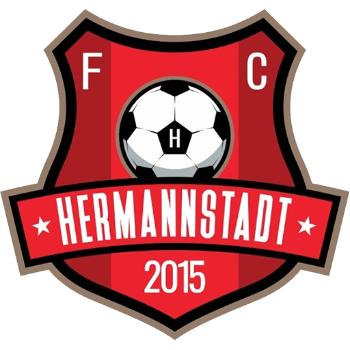 FC Hermannstadt artwork 1