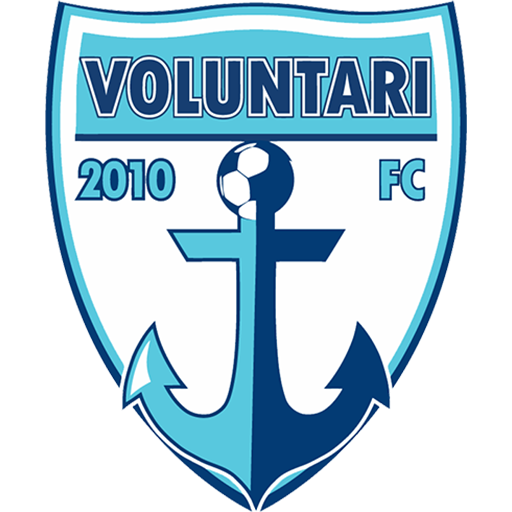 FC Voluntari artwork 1