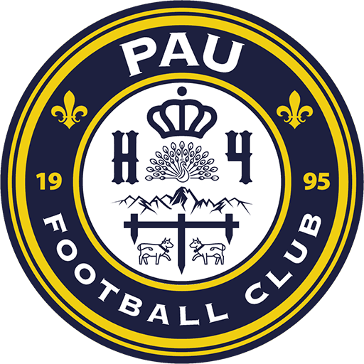 Pau FC artwork 1