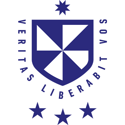 Universidad de San Martín de Porres artwork 1