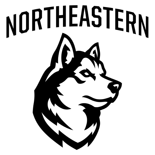Northeastern artwork 1