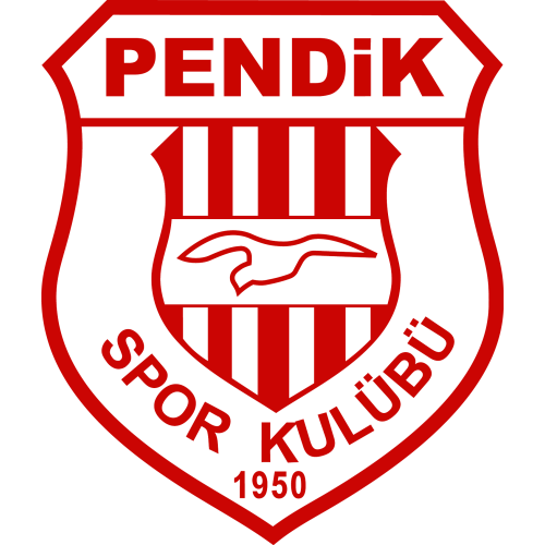 Pendikspor artwork 1