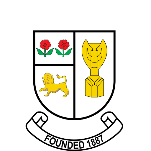 Athlone Town artwork 1