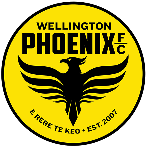 Wellington Phoenix Reserves artwork 1
