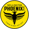 Wellington Phoenix Reserves