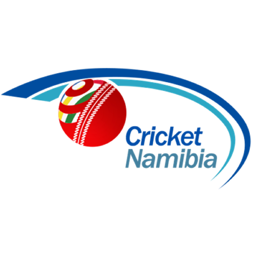 Namibia Cricket artwork 1