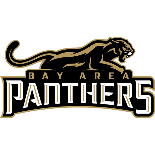 Bay Area Panthers artwork 1